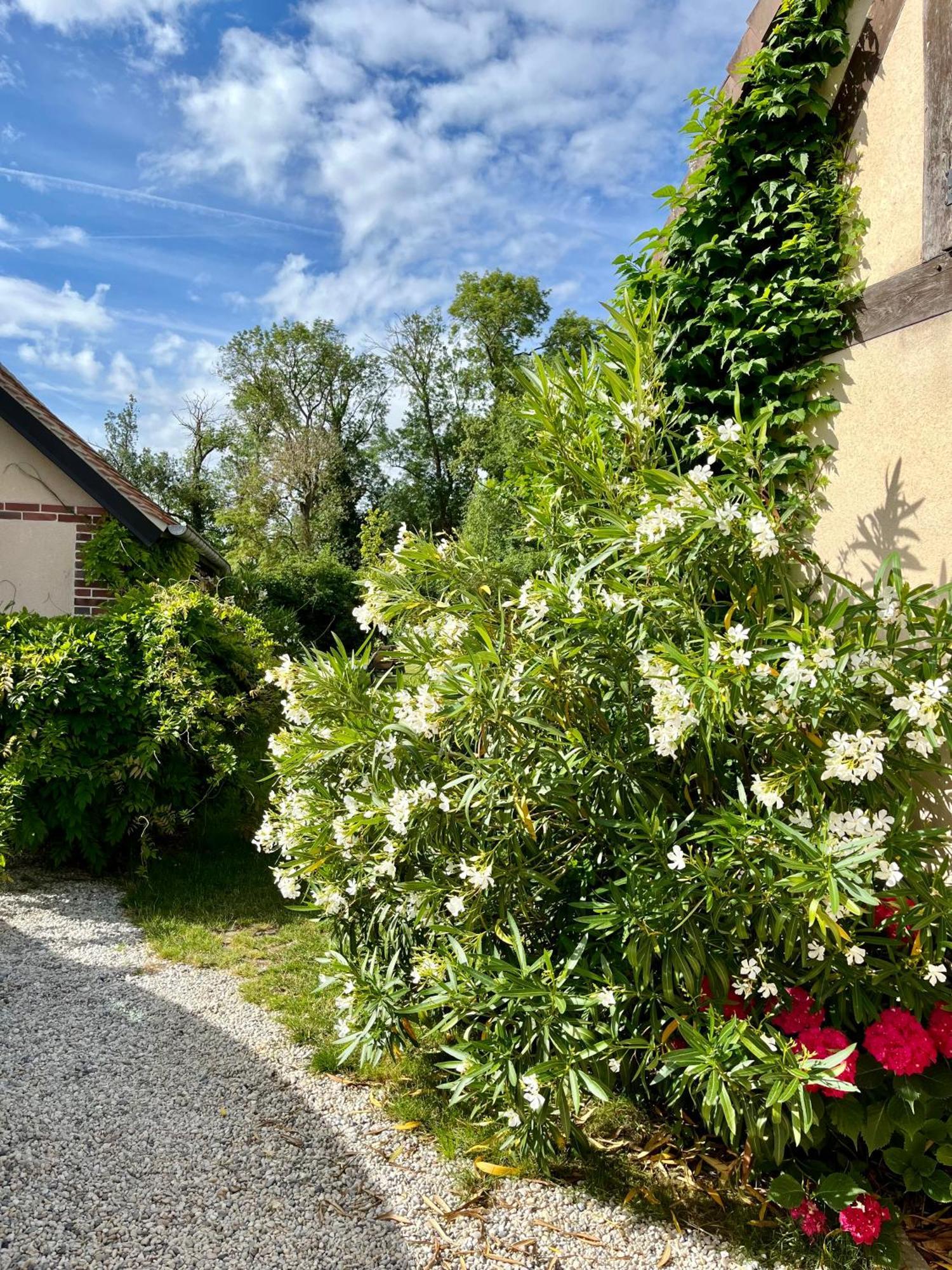 Cote Riviere Ezy-sur-Eure Exterior foto
